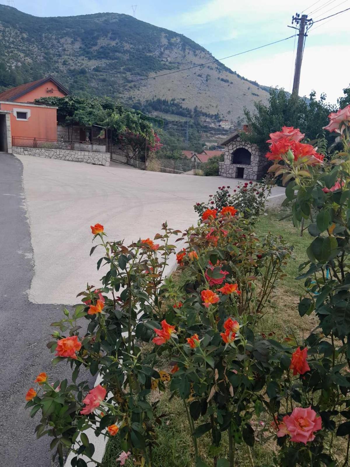 Apartman Vlacic Trebinje Esterno foto